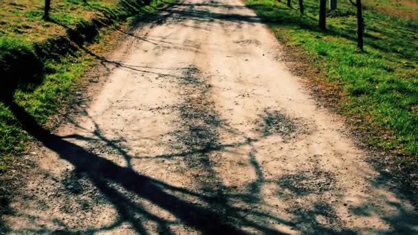 Una Strada Campagna Vuota Durante Soleggiata Giornata Primaverile — Video Stock