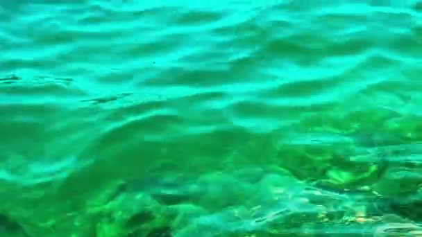 波斯尼亚和黑塞哥维那Neum湾亚得里亚海的水晶清澈水 — 图库视频影像