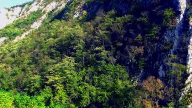 Sonbahar günü ağaçlar ve çalılarla kaplı dağ uçurumları.