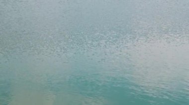 Orman ve doğa ile çevrili dağ gölünün sakin suları.