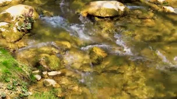 春の晴れた日には渓流が岩肌を通り 背後には自然の音や水流が流れています — ストック動画