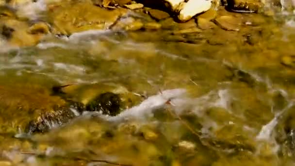 春の晴れた日には渓流が岩肌を通り 背後には自然の音や水流が流れています — ストック動画