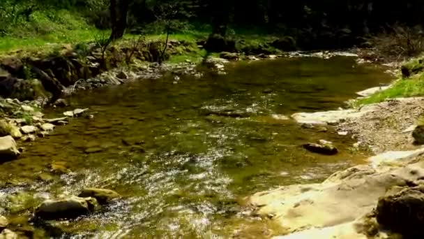Güneşli Bahar Gününde Arka Planda Doğal Ses Veya Akışıyla Kayalık — Stok video