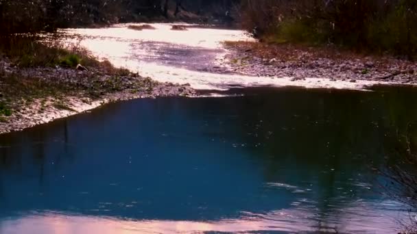 Rio Calmo Que Flui Pôr Sol Dia Ensolarado Primavera — Vídeo de Stock