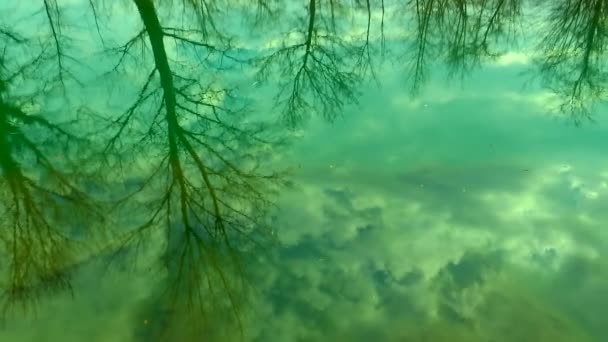 Sílhuetas Árvores Reflete Superfície Rio Montanha Calmo — Vídeo de Stock