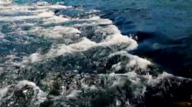 Soğuk ve hızlı dağ nehri kayaların etrafından geçiyor ve ekolojik ve vahşi doğal çevrede beyaz köpükler oluşturuyor..