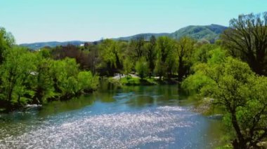 Güneşli bahar gününde nehir adası yeşillikle kaplanmış temiz yeşil nehrin üzerindeki hava manzarası..