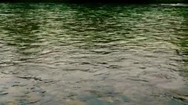 Büyük dağ nehri kristal yeşili suyla bahar günü huzurlu ve düz arazide akıyor..