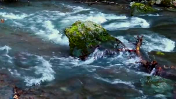 Soğuk Hızlı Dağ Nehri Kayaların Etrafından Geçiyor Ekolojik Vahşi Doğal — Stok video