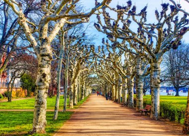 FRANKFURT AM MAIN, GERMANY, 15 Şubat 2020: Frankfurt am Main, Almanya 'daki popüler Nthe Park' ta yürüyen insanlar.