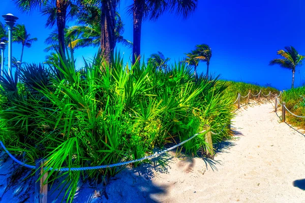 Passaggio Verso Spiaggia Durante Giornata Sole Miami Beach Florida Usa — Foto Stock