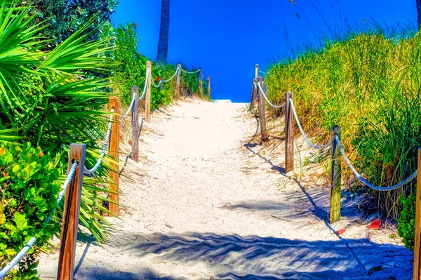 Miami Beach, Florida, ABD 'de güneşli bir günde sahile bir geçiş..