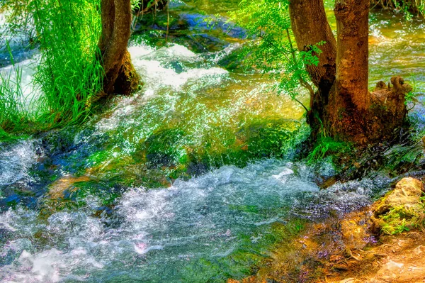 Frisse Kreek Water Stroomt Tussen Bomen Het Groen Tijdens Lente — Stockfoto