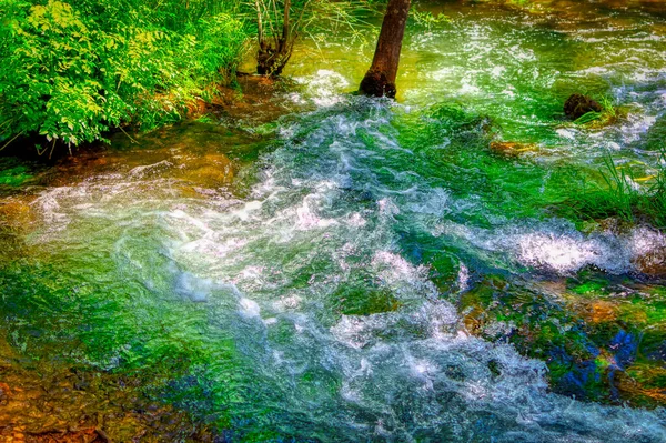 Eau Douce Ruisseau Qui Coule Entre Les Arbres Verdure Pendant — Photo