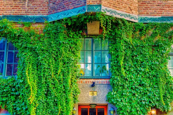 Stockholm Schweden September 2019 Malerische Fensterdekoration Einem Haus Skandinavischen Stil — Stockfoto