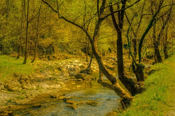 Маленькая Горная Река Проходящая Через Сельскую Местность Солнечный Весенний День — стоковое фото
