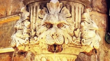 Hırvatistan 'ın Dubrovnik kentindeki eski bir kasabada aslan başı şeklinde antik çeşme.