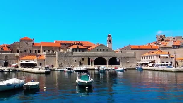 Dubrovnik Croazia Luglio 2020 Una Vista Panoramica Sul Vecchio Porto — Video Stock