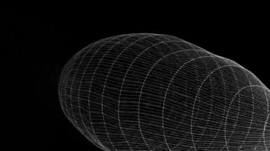 Çeşitli döndürme ve animasyonlara sahip birçok kablo çerçeveli silindirden oluşan dijital tünelin animasyonu.