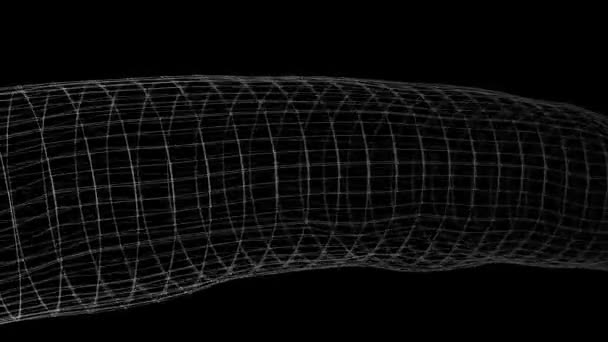 Animation Tunnel Numérique Composé Nombreux Cylindres Encadrés Filaires Avec Différentes — Video