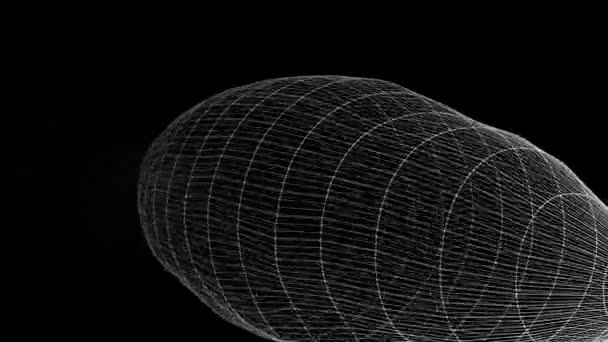 许多带各种旋转和动画的线框圆柱形数字隧道的动画制作 — 图库视频影像