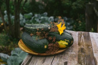 Kendi bahçelerinden taze kabak. Tahta bir tabakta yatıyor..
