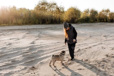 Kızıl saçlı kız, pug arkadaşıyla sonbahar ormanının yakınlarında yürüyor..