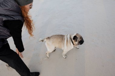 Kızıl saçlı bir kız, pug arkadaşıyla kumlu sahilde yürüyor..