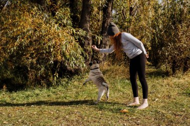Sonbahar ormanında kızıl saçlı bir kız köpeğini eğitir..