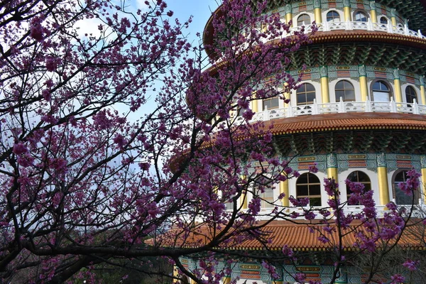 New Taipei Taiwan Fleurs Cerisier Majestueuse Pagode Temple Wuji Tianyuan — Photo