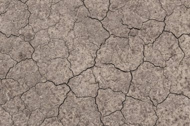 cezalı kuru kirli çöl