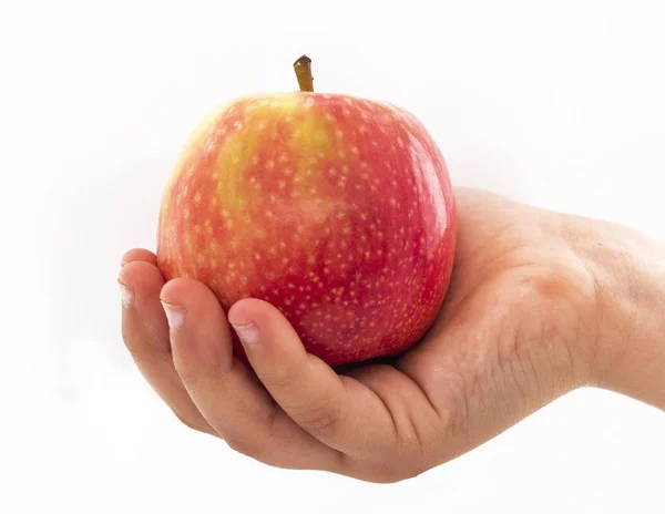 Tête Tenant Une Pomme — Photo