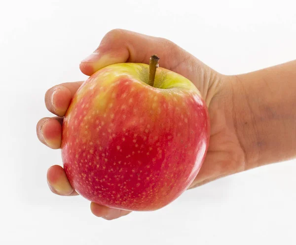 Huvudet Håller Ett Äpple — Stockfoto