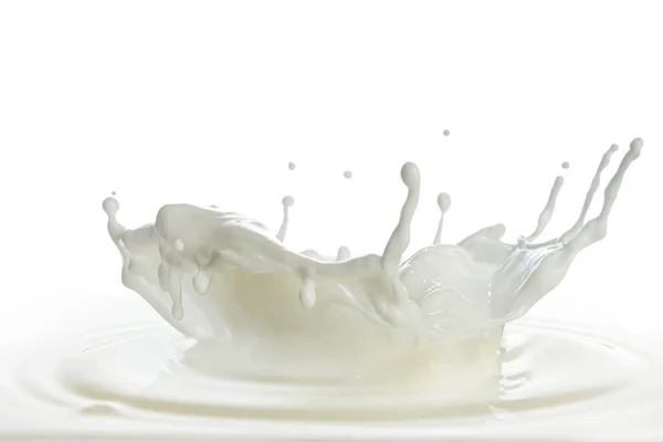 Vertido Salpicaduras Leche Aislado Fondo Blanco — Foto de Stock