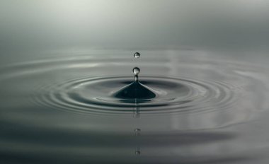 Yakın çekim su damlaları beyaz arkaplanda izole edildi.