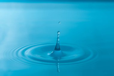 Yakın çekim su damlaları beyaz arkaplanda izole edildi.