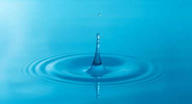 Yakın çekim su damlaları beyaz arkaplanda izole edildi.