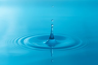 Yakın çekim su damlaları beyaz arkaplanda izole edildi.