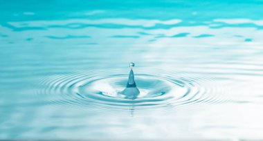 Beyaz arkaplanda su damlası sıçraması izole edildi.