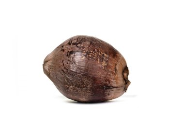 Kuru hindistan cevizi, kurutulmuş hindistan cevizi beyaz arka planda izole edilmiş..