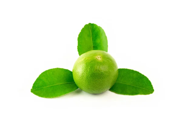 Lima Fresca Cal Hoja Verde Aislada Sobre Fondo Blanco —  Fotos de Stock