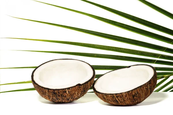 Poloviční Zralé Kokosové Ořechy Izolované Bílém Pozadí — Stock fotografie