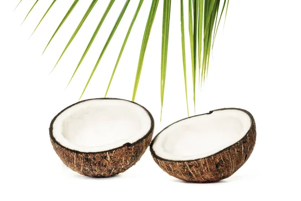 코코넛 절반은 배경에서 — 스톡 사진