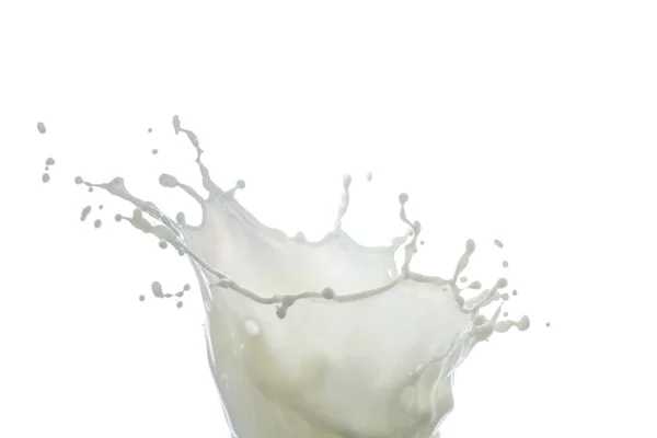 Milchtropfen Und Spritzer Isoliert Auf Weißem Hintergrund — Stockfoto