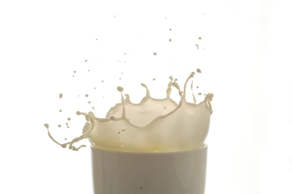ミルクの滴と白の背景に隔離されたスプラッシュは — ストック写真