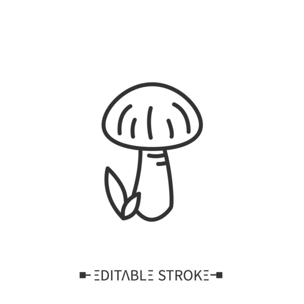 Shiitake gomba vonal ikon.Superfood illusztráció — Stock Vector