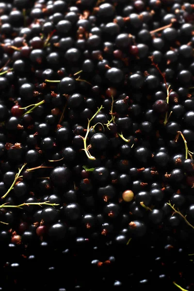 Berries of black current texture. Natural photo background. Black. Sweet and sour. Healthy food is full of vitamines