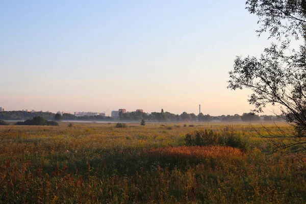 Dawn outside the city. Autumn begins. A huge sun rises over the yellowed grass. Morning mist