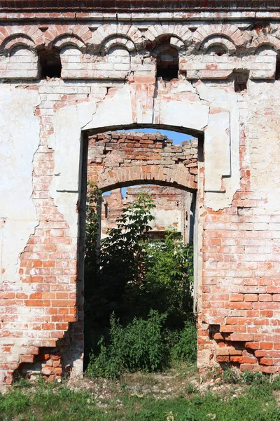 Picturesque ruins of an old mansion. Abandoned place. Historical monument of the past. Nature captures the construction of civilization. Wild plants grow inside the building. Beautiful photo background of desolation