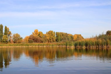 Şehir dışında manzara pacifying çok güzel. Sakin su Gölü nün renkli sonbahar ağaçlar yansıtır. Parlak renkler sonbahar. Mevsim. Kasım. Doğal fotoğraf arka plan